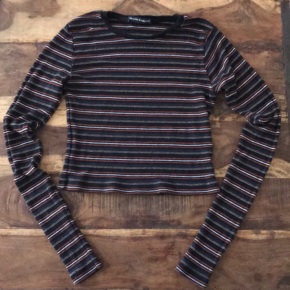 Brandy Melville Santana Crop long sleeve
